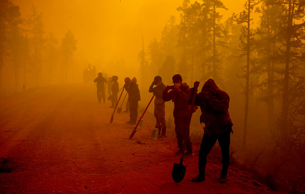 Лесные пожары в Сибири и Якутии грозят народными бунтами
